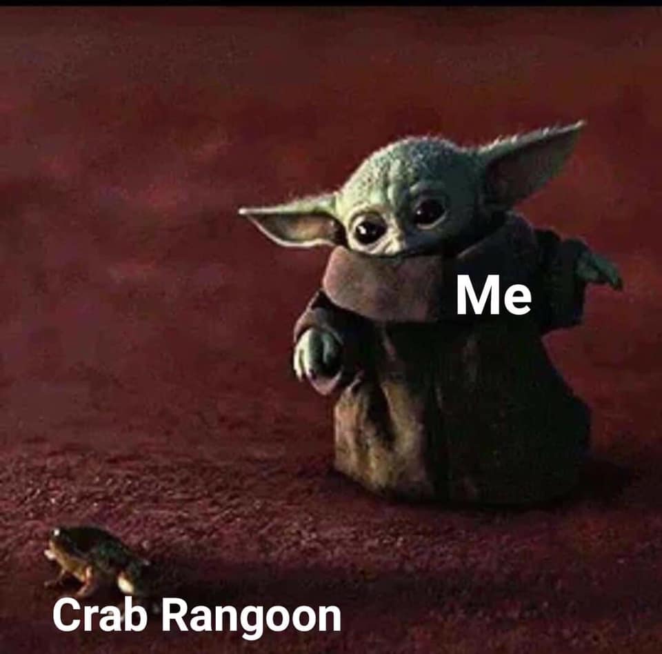 The meme is an image of a character from the Star Wars franchise, Grogu (also known as "Baby Yoda"), looking at a picture of a crab. The text "RIP" appears on the image, implying that the crab has died. The meme is likely referencing the fact that the character is named after a species of crab, and the "RIP" is a humorous way of acknowledging the crab's demise.